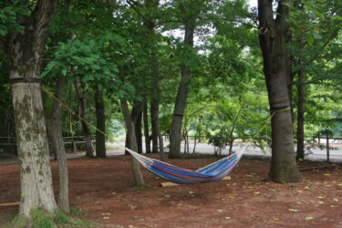 ハンモックサイト