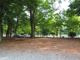 ハンモックサイト